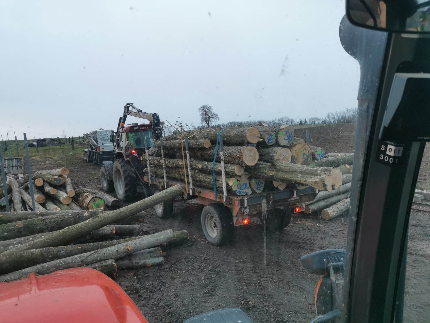 BOIS CHAUFFAGE1 | Paysages et bois alsace Aménagement de votre jardin et vente de bois : des experts paysagistes à votre écoute Saverne