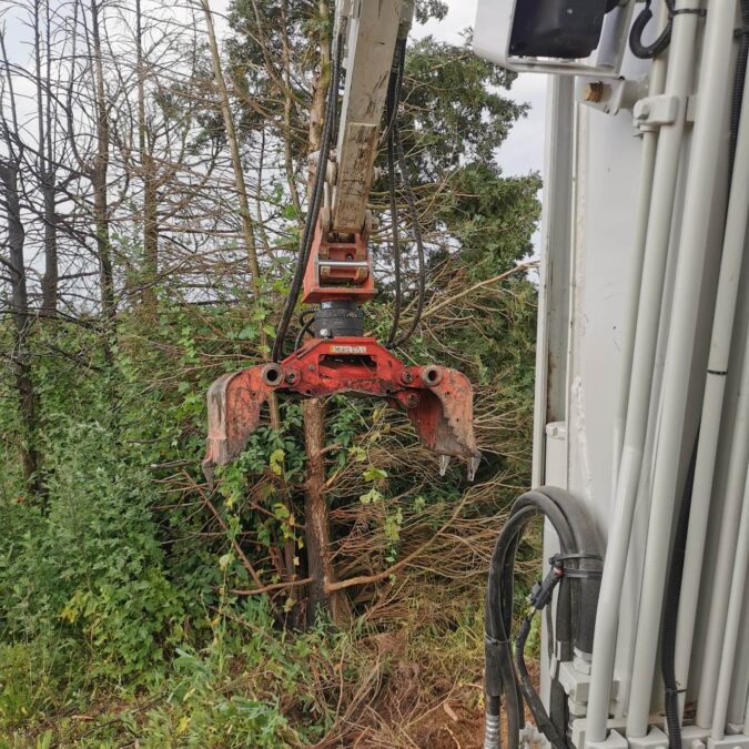 Comment abattre un arbre en toute s&eacute;curit&eacute; ? Bischheim