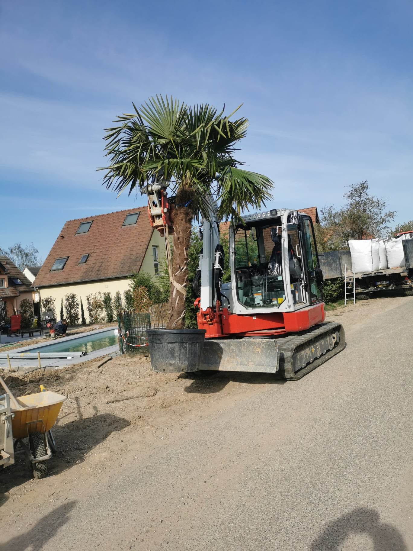 PLANTATION | Paysages et bois alsace Paysagiste expert pour vos travaux d’aménagement extérieur sur les secteurs de Brumath et Vendenheim Illkirch-Graffenstaden 4
